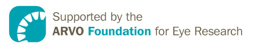 ARVO Foundation logo